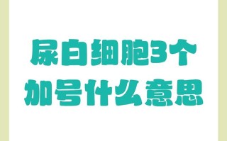 孕期尿白细胞三个加号是感染了吗？对胎儿有影响吗？需要怎么处理？