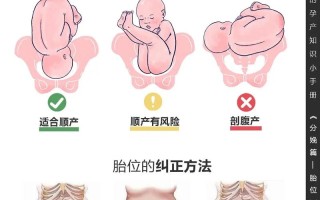 孕期胎位到底什么时候才会固定下来？有没有办法帮助调整呢？