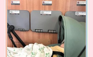 新生儿坐动车有哪些注意事项需要提前准备和注意？