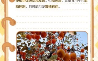 怀孕期间吃柿子会怎样？对胎儿和孕妇健康有什么影响？