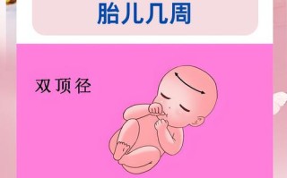 孕期如何准确检查双性胎儿？产检项目有哪些？何时能发现？