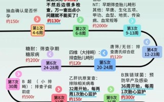 备孕期间要做哪些检查