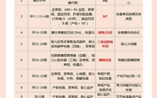 怀孕期间各阶段检查项目有哪些？关键指标如何解读？