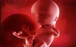 孕期26周胎儿胎动少