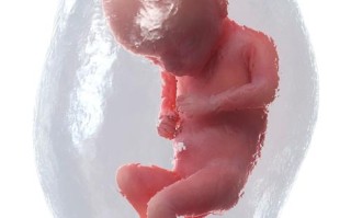 孕期胎儿头大就一定是男孩吗？头大小和胎儿性别到底有没有科学关联？