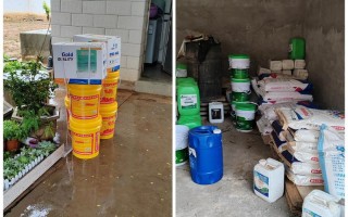 备孕期小区打农药，胎儿健康风险该如何规避？