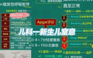 新生儿窒息复苏考试网如何帮助医护人员快速掌握核心技能？