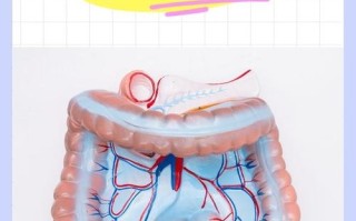 儿童肠系膜淋巴结炎能自愈吗？
