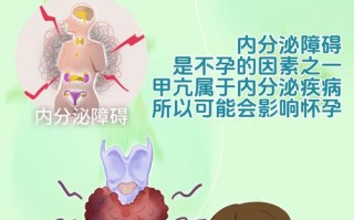 怀孕期间为何会突发甲亢？孕期激素变化与甲状腺功能异常有何关联？