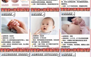 新生儿原始反射ppt