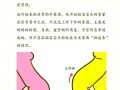 孕期无水肿真的能判断胎儿性别吗？科学依据是什么？
