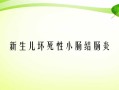 新生儿坏死性小肠结肠炎PPT病因与防治要点？
