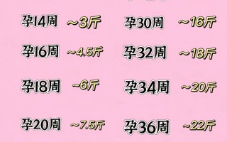 孕期体重增长最快的是哪几个月？不同阶段该注意什么？
