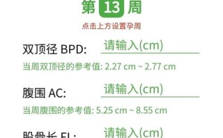 孕期胎宝宝体重计算器准吗？不同孕周计算结果差异大吗？