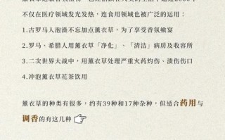 孕期闻薰衣草精油安全吗？对胎儿发育会有潜在影响吗？