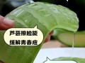 孕期使用芦荟产品安全吗？会对胎儿发育有潜在风险吗？
