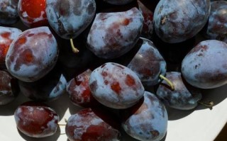 孕期吃哪种水果能缓解便秘？有哪些高效安全的推荐？