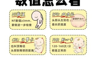 孕期NT检查需要憋尿吗？不同孕周有不同要求吗？
