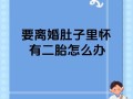 二胎怀孕期间离婚法律上允许吗？胎儿权益与夫妻矛盾如何平衡？