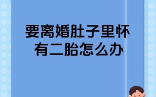 二胎怀孕期间离婚法律上允许吗？胎儿权益与夫妻矛盾如何平衡？