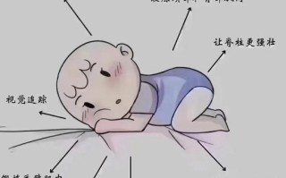 新生儿为何偏爱趴在身上睡？这种睡姿安全吗？背后隐藏着哪些生理或心理需求？