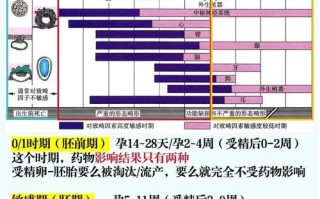 孕期服药到底会对胎儿造成哪些潜在影响？如何科学评估风险与保障健康？