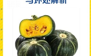 孕期吃南瓜对胎儿发育和孕妇身体有哪些具体好处？