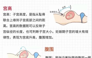 孕期宫高增长腹围却不变，是胎儿发育异常还是测量误差？