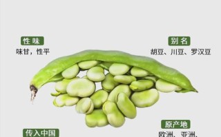 孕期可以吃炒的蚕豆吗