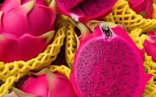 孕期天天吃红心火龙果