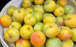 怀孕期间吃李子吃多了会对胎儿或孕妇产生哪些不良影响？