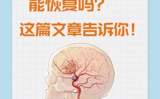 儿童中枢神经受损后，究竟能否恢复？
