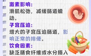 孕期总是不大便怎么办