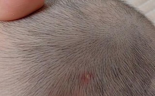 新生儿头上长小白脓泡是正常现象吗？需要担心吗？