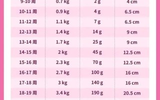 孕期体重每周增长标准