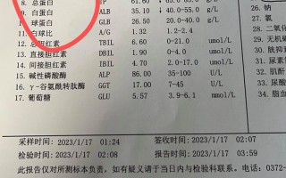 孕期血清总胆红素偏高