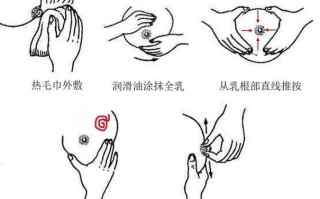 孕期怎么按摩乳房图解