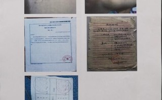 共享单车儿童伤亡结果