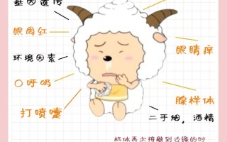 儿童过敏性鼻炎真的能根治吗？反复发作背后有哪些关键因素被忽略？