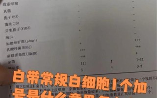 孕期白带检查白细胞2+代表什么意思？会对胎儿和顺产有影响吗？