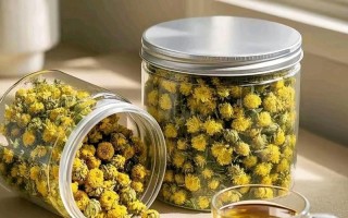 备孕期喝菊花茶安全吗？对胎儿发育会有潜在影响吗？