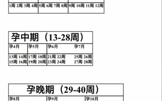 孕期哪几个月增重最明显？不同阶段体重增长有何规律？