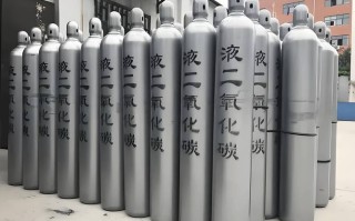 新生儿二氧化碳总量高