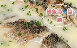 孕期喝鱼汤有哪些具体做法？不同鱼类的功效差异与注意事项是什么？