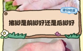 孕期前三月吃猪蹄会影响胎儿发育吗？营养师解答孕期饮食禁忌！