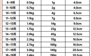 孕期宝宝体重增长多少算正常？不同孕周体重增长标准是什么？