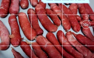 自制儿童肠怎么做？健康又美味做法大全，宝妈必看！