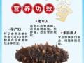 孕期吃海参是滋补佳品还是潜在风险？营养专家解析利弊与科学食用指南