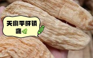 怀孕期间吃天麻安全吗？对胎儿发育会有潜在风险吗？