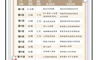 孕期产检哪些项目是免费的？具体条件和流程是怎样的？